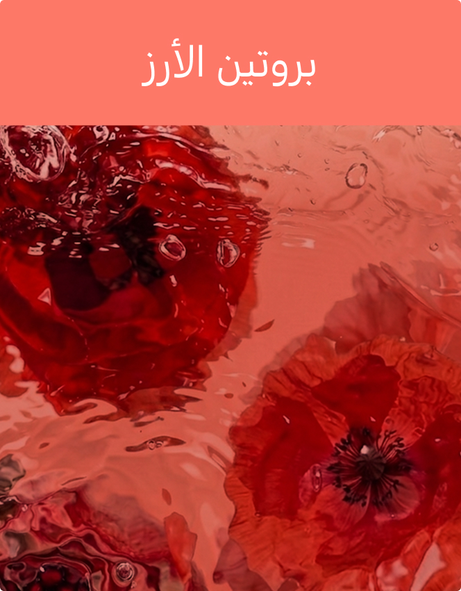 Aker Fassi & Rice Protein Glow Toner